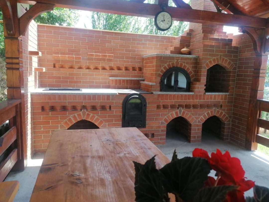 Pensiunea Hantig Tura Borşa Exterior foto